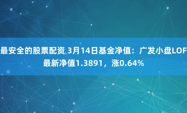 最安全的股票配资 3月14日基金净值：广发小盘LOF最新净值1.3891，涨0.64%