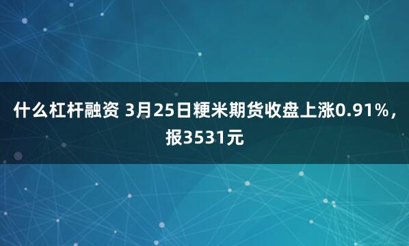 什么杠杆融资 3月25日粳米期货收盘上涨0.91%，报3531元