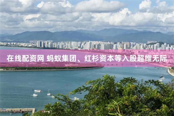 在线配资网 蚂蚁集团、红杉资本等入股超维无际