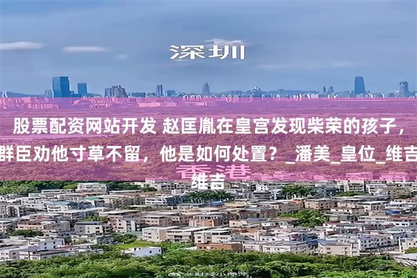股票配资网站开发 赵匡胤在皇宫发现柴荣的孩子，群臣劝他寸草不留，他是如何处置？_潘美_皇位_维吉