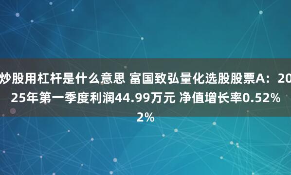 炒股用杠杆是什么意思 富国致弘量化选股股票A：2025年第一季度利润44.99万元 净值增长率0.52%