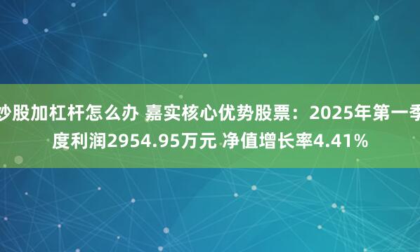 炒股加杠杆怎么办 嘉实核心优势股票：2025年第一季度利润2954.95万元 净值增长率4.41%