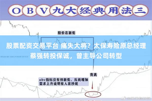 股票配资交易平台 痛失大将？太保寿险原总经理蔡强转投保诚，曾主导公司转型