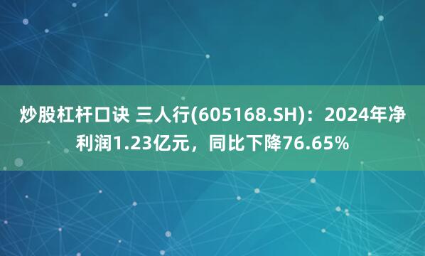 炒股杠杆口诀 三人行(605168.SH)：2024年净利润1.23亿元，同比下降76.65%
