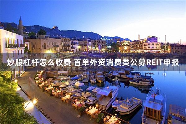 炒股杠杆怎么收费 首单外资消费类公募REIT申报