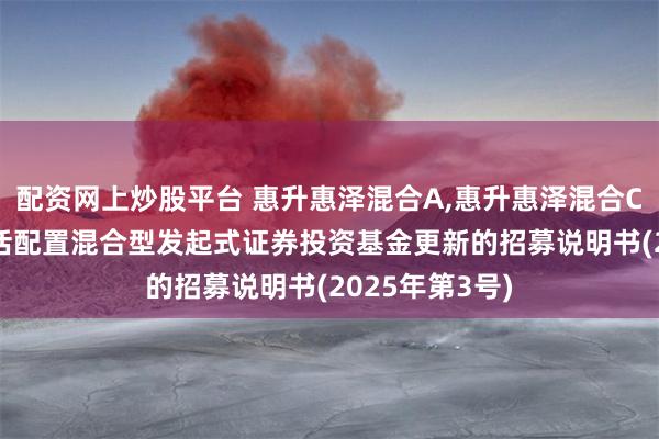 配资网上炒股平台 惠升惠泽混合A,惠升惠泽混合C: 惠升惠泽灵活配置混合型发起式证券投资基金更新的招募说明书(2025年第3号)