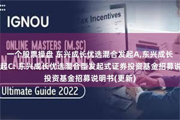一个股票操盘 东兴成长优选混合发起A,东兴成长优选混合发起C: 东兴成长优选混合型发起式证券投资基金招募说明书(更新)
