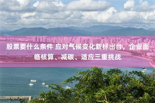 股票要什么条件 应对气候变化新标出台，企业面临核算、减碳、适应三重挑战